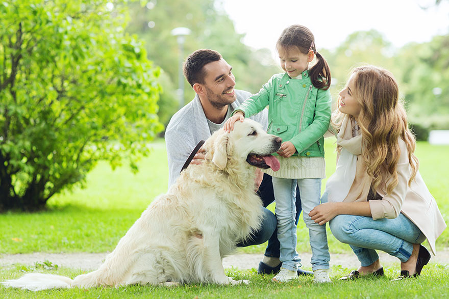 Pet Photography | Outdoor Pet Photographs