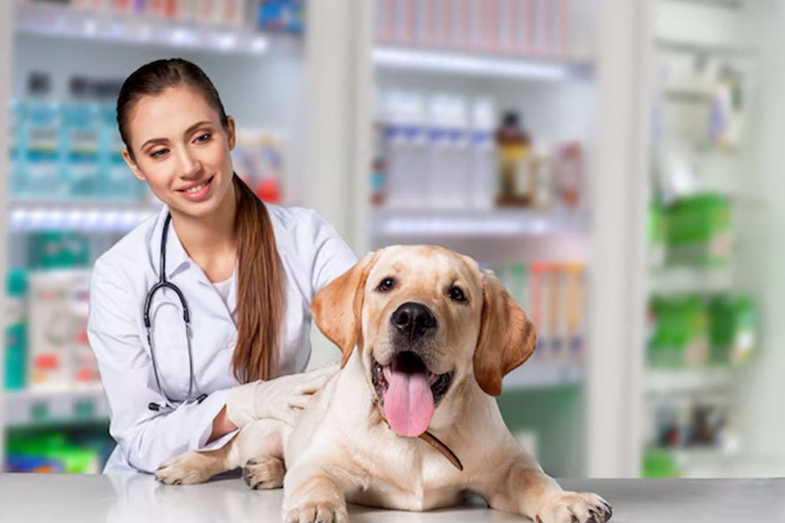 Pet Pharmacy – Buy Pet Medicine with Pet Scripts