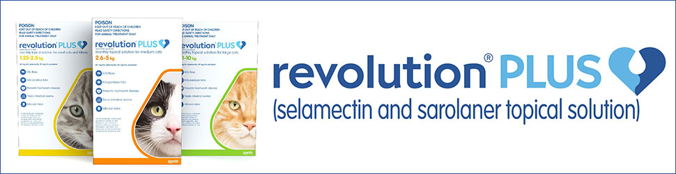 Revolution Plus | Flea Treatment for Cats